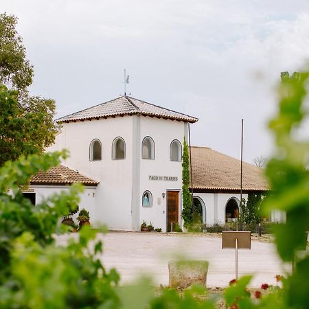 Pago De Tharsys ξενώνας Requena Εξωτερικό φωτογραφία