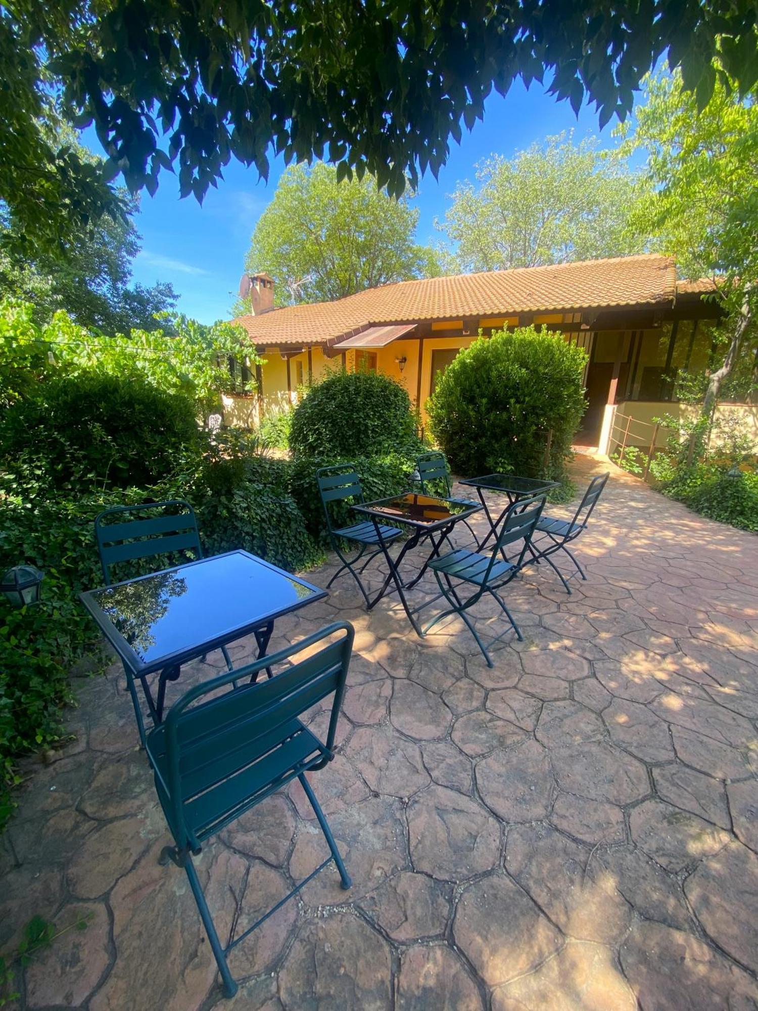 Pago De Tharsys ξενώνας Requena Εξωτερικό φωτογραφία