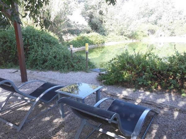 Pago De Tharsys ξενώνας Requena Εξωτερικό φωτογραφία